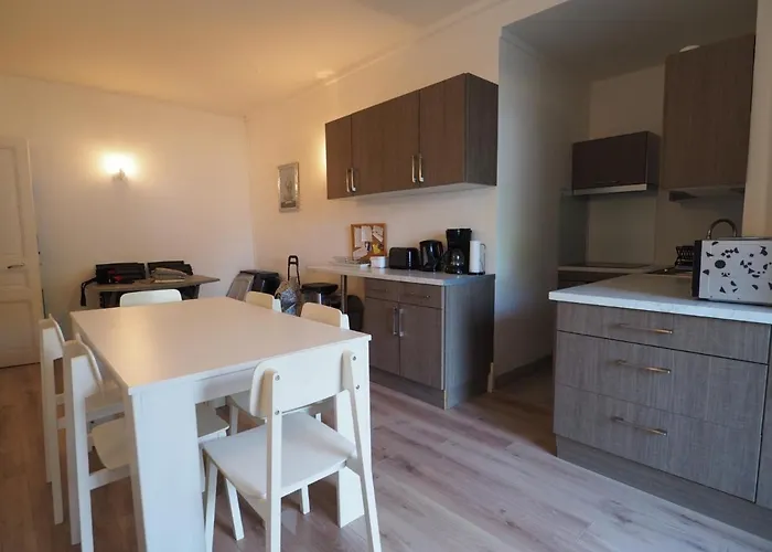 En Centre-ville Avec Terrasse Et Parking, Acces Direct A La - Fr-1-474-4 Arcachon